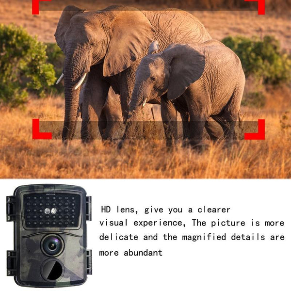 20Mp 1080P Infrared Cameras With 38 Ir Lamps For Hd Monitoring Security Cameras