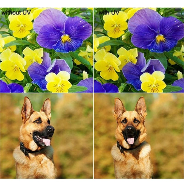 Xiaomi Xiaoyi Yi Ii 4K Action Camera With 37Mm Uv Filter And Lens Cap Camera Drone Accessories