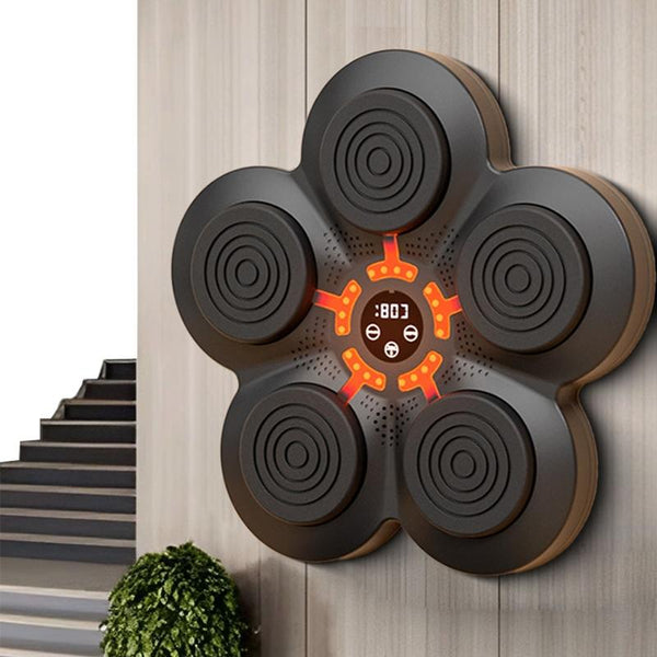 Bluetooth Music Boxing Machine With Wall Mount And Adult Gloves Punching Bags