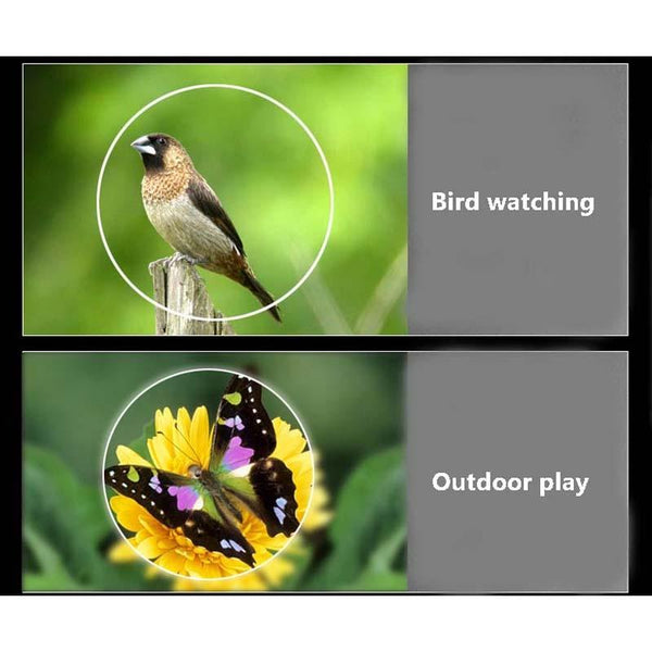 Low Light Visual 10X22 For Enhanced Viewing Binoculars
