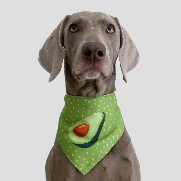 Refreshing Avocado Pet Scarf Three Layer Thickened Waterproof Saliva Towel Size Dog Clothing & Shoes