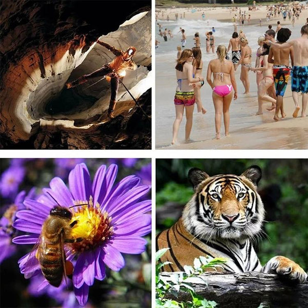 52Mm Monocular Telescope For Low Light Night Vision Binoculars & Monoculars