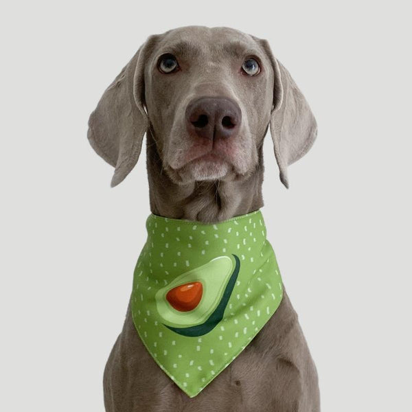 Refreshing Avocado Pet Scarf Three Layer Thickened Waterproof Saliva Towel Size Xl Dog Clothing & Shoes