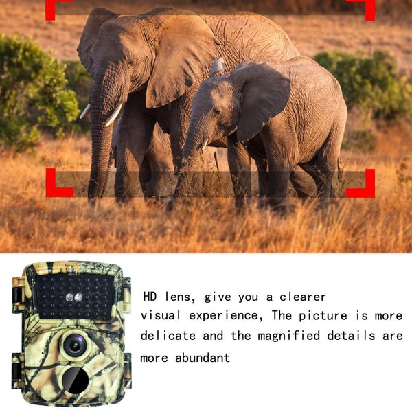 20Mp Hd Infrared Camera With 38 Ir Lights Digital Cameras