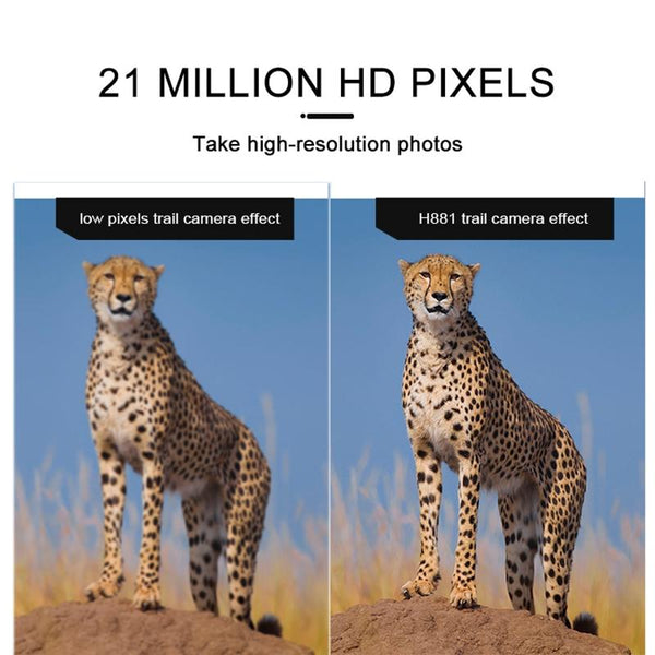 21Mp Trail Camera With 2.4 Tft Screen Digital Cameras