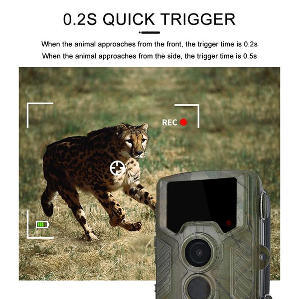21Mp Trail Camera With 2.4 Tft Screen Digital Cameras