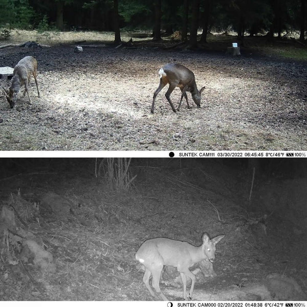 Wireless Bluetooth Control Camera With Infrared Tracking And Wifi Connectivity Security Cameras