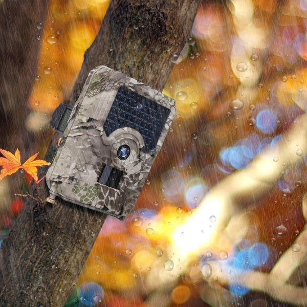 Waterproof Night Vision Trail Camera With Wide Angle And Pir Sensor Digital Cameras