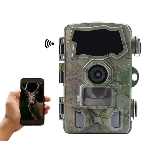 4K Wifi Trail Camera With 2.4 Tft Screen Digital Cameras