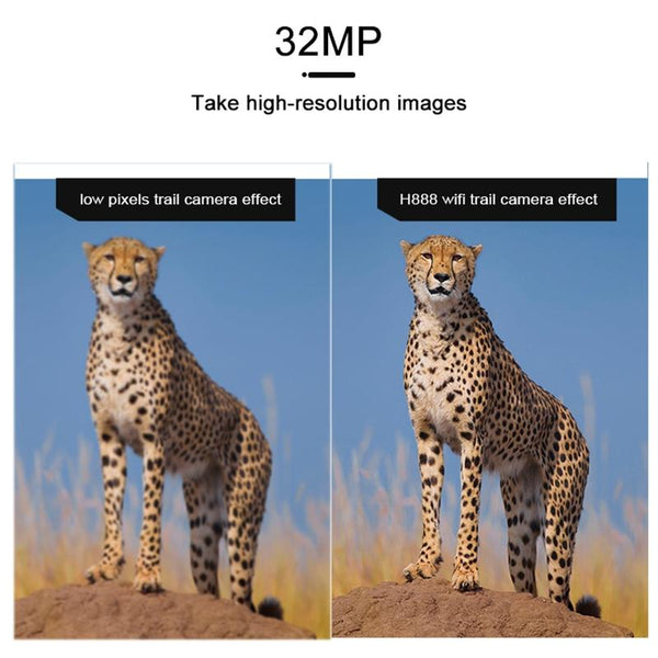 4K Wifi Trail Camera With 2.4 Tft Screen Digital Cameras