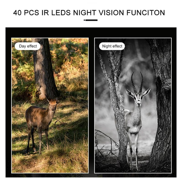 4K Wifi Trail Camera With 2.4 Tft Screen Digital Cameras