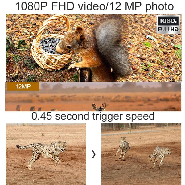 Outdoor Camera With Night Vision And Infrared Sensing Digital Cameras