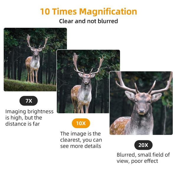 Introducing The Quintessential Addition To Your Summer Wardrobe: Ladies Sleeveless Singlet Top. Blend Of Casual Elegance And Comfort This Is Designed