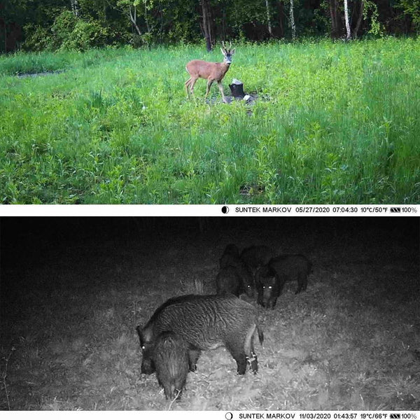 Outdoor Infrared Night Vision Camera With Tracking 2.7K Security Cameras