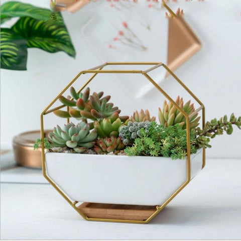 Geometric Wall Hanging Table With Bamboo Support And Iron Frame For Succulents Gold Seasonal Decorations