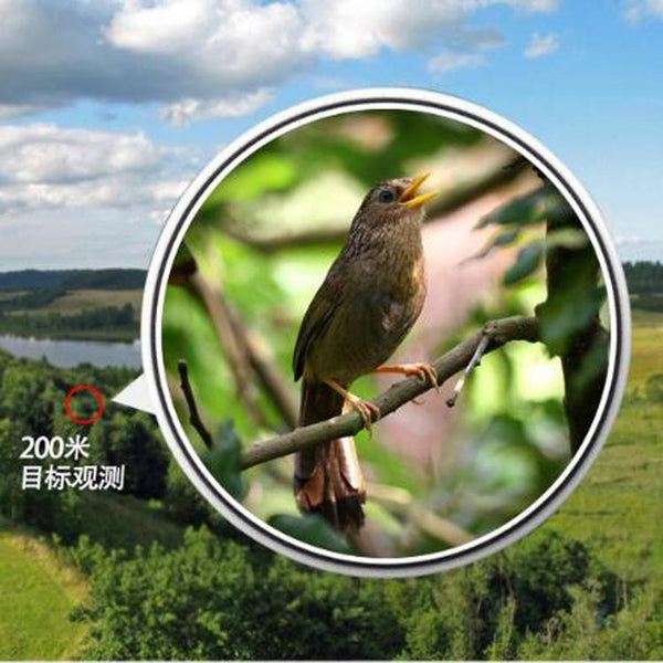 Waterproof Hd Night Vision Nitrogen Filled 8X42 Binoculars