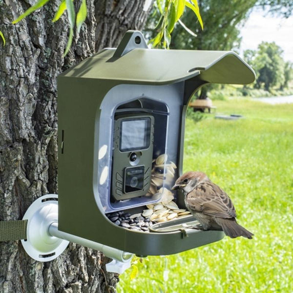 Outdoor Bird Watching Camera With Motion Sensor Army Green Feeder Security Cameras