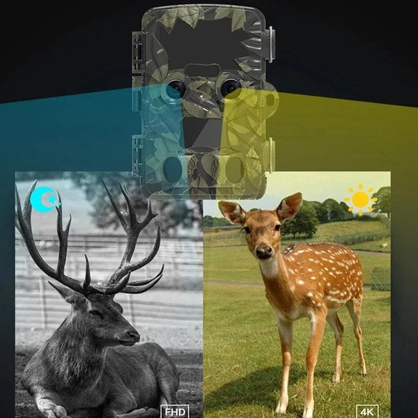 Outdoor Camouflage Dual Lens Infrared Camera With 4K Resolution And Night Vision Security Cameras