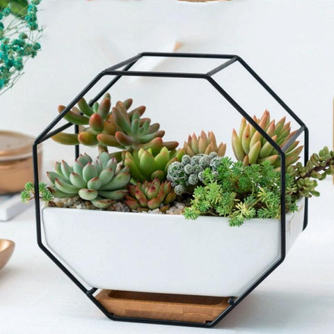 Geometric Wall Hanging Table With Bamboo Support And Iron Frame For Succulents Black Baskets Pots Window Boxes