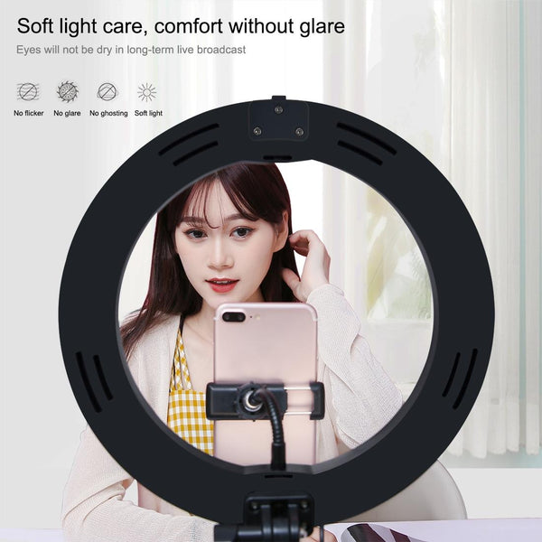 10.2Inches Dual Colour Led Ring Light With Usb Bluetooth Remote And Phone Holder White Bike Phone Holders