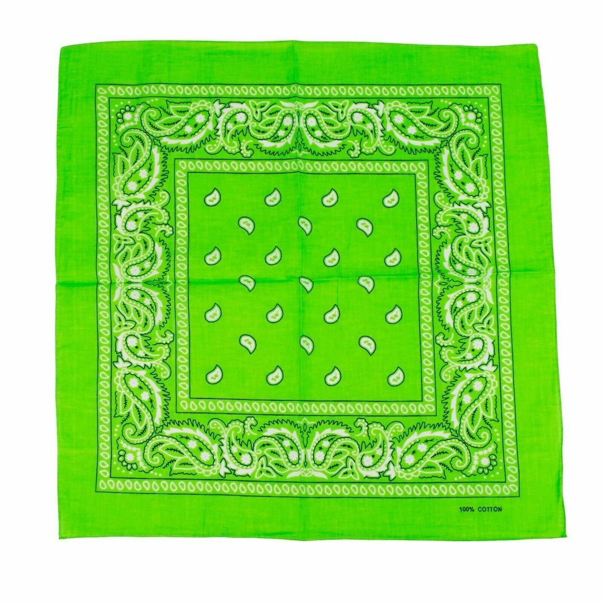 Br Costumes Bandana Paisley 100% Cotton Head Wrap Durag Bandanna Summer Biker Scarf Mask Light Green Scarves