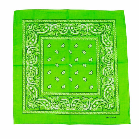 Br Costumes Bandana Paisley 100% Cotton Head Wrap Durag Bandanna Summer Biker Scarf Mask Light Green Scarves