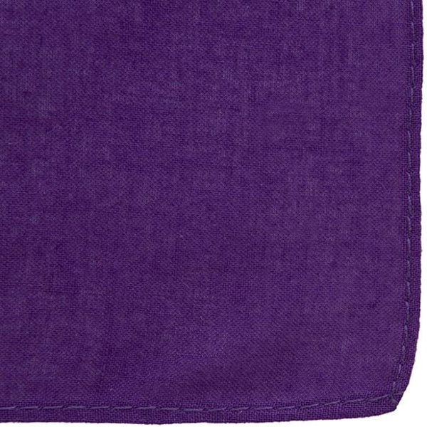 Br Costumes Bandana Paisley 100% Cotton Head Wrap Durag Bandanna Summer Biker Scarf Mask Purple (Plain) Scarves