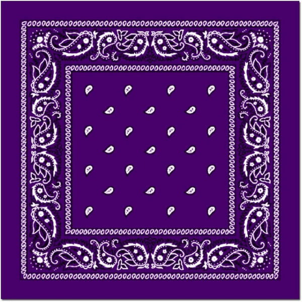 Br Costumes Bandana Paisley 100% Cotton Head Wrap Durag Bandanna Summer Biker Scarf Mask Purple Scarves