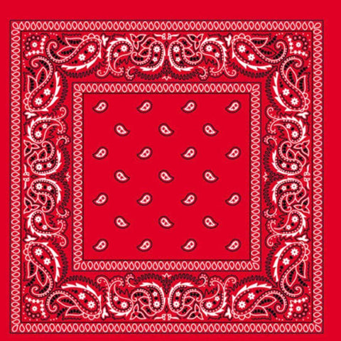 Br Costumes Bandana Paisley 100% Cotton Head Wrap Durag Bandanna Summer Biker Scarf Mask Red Scarves