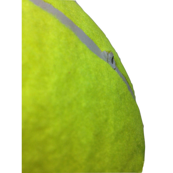 10" Giant Tennis Ball With Pump Air Inflator For Autographs Signatures Table Tennis Balls