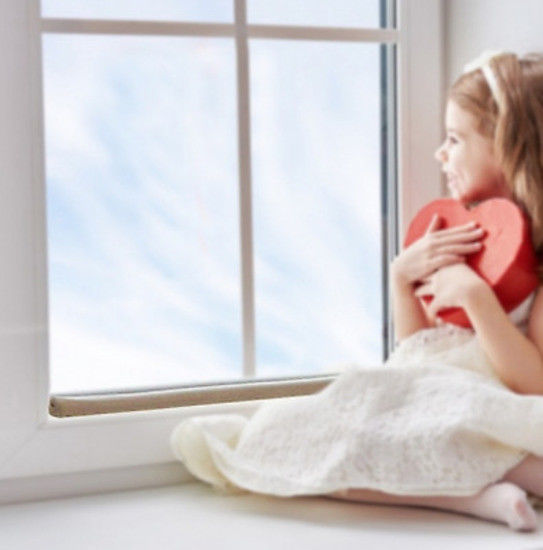 Dual Draft Stopper Double Sided Snake Wind Air Door Guard Cover Weather Seal Reusable Shopping Bags