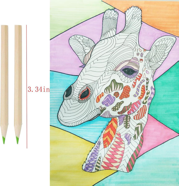 Br Stationary 18Pcs Mini Colour Pencils Junior Artist Coloured Kids Drawing Art Pencils & Charcoal