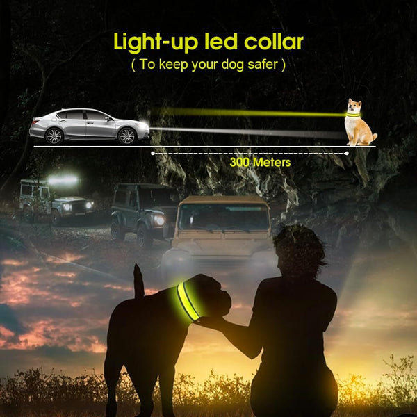 Living Today Led Dog Cat Collar Usb Rechargeable Nylon Glow Flashing Light Up Safety Puppy Dog Collars