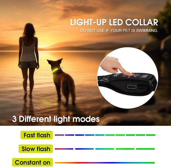 Living Today Led Dog Cat Collar Usb Rechargeable Nylon Glow Flashing Light Up Safety Puppy Dog Collars