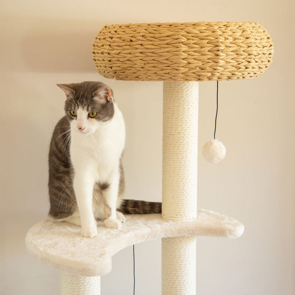 Furniture & Scratchers Modern Pets 5 Platform Plush And Wicker Cat Tree
