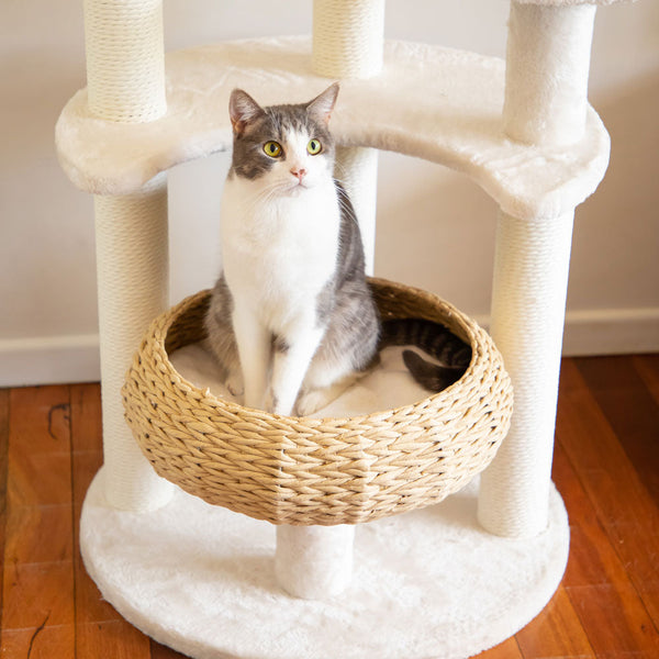 Furniture & Scratchers Modern Pets 5 Platform Plush And Wicker Cat Tree