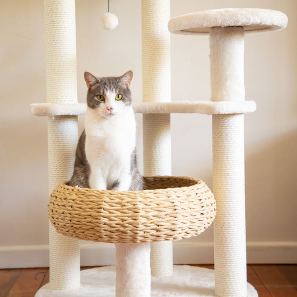 Furniture & Scratchers Modern Pets 5 Platform Plush And Wicker Cat Tree