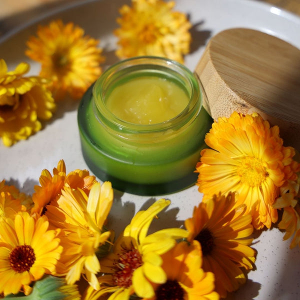 Cosmetic Bamboo Lid Glass Jar & Dropper Set Travel Bottles & Containers