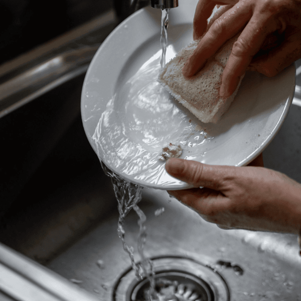 Natural Loofah Cellulose Sponges (Pack Of 3) | Eco Cleaning Bath Brushes & Sponges