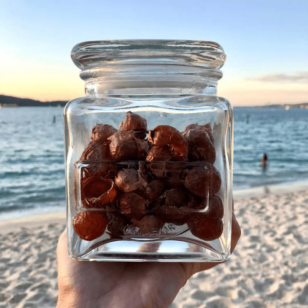 Soap Berries Laundry Wash 100% Plant Based 250G Other Laundry Supplies