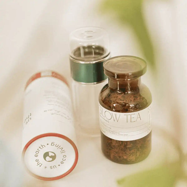 Double Wall Glass Tea Infuser Bottle Tea Infusers