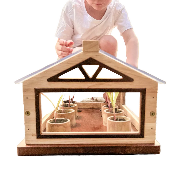 Greenhouse Plant Cultivation Structure Greenhouses
