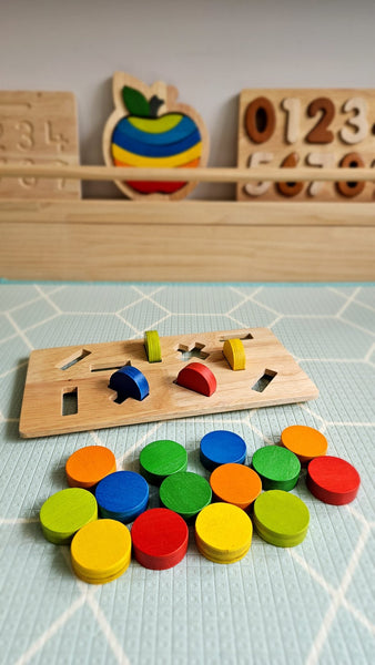 Coin Tray Insert Educational Toys