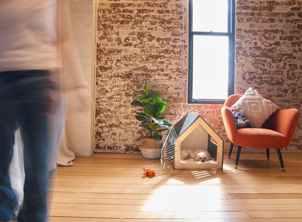 Modern Pet House Dog Crate With Acrylic Door White Small Animal Supplies