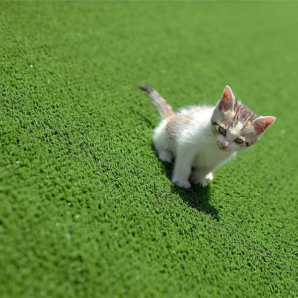 Randy & Travis Machinery 200Cm X 250Cm Lawn Turf Mat Carpet Fake Synthetic Garden Landscape Artificial Grass