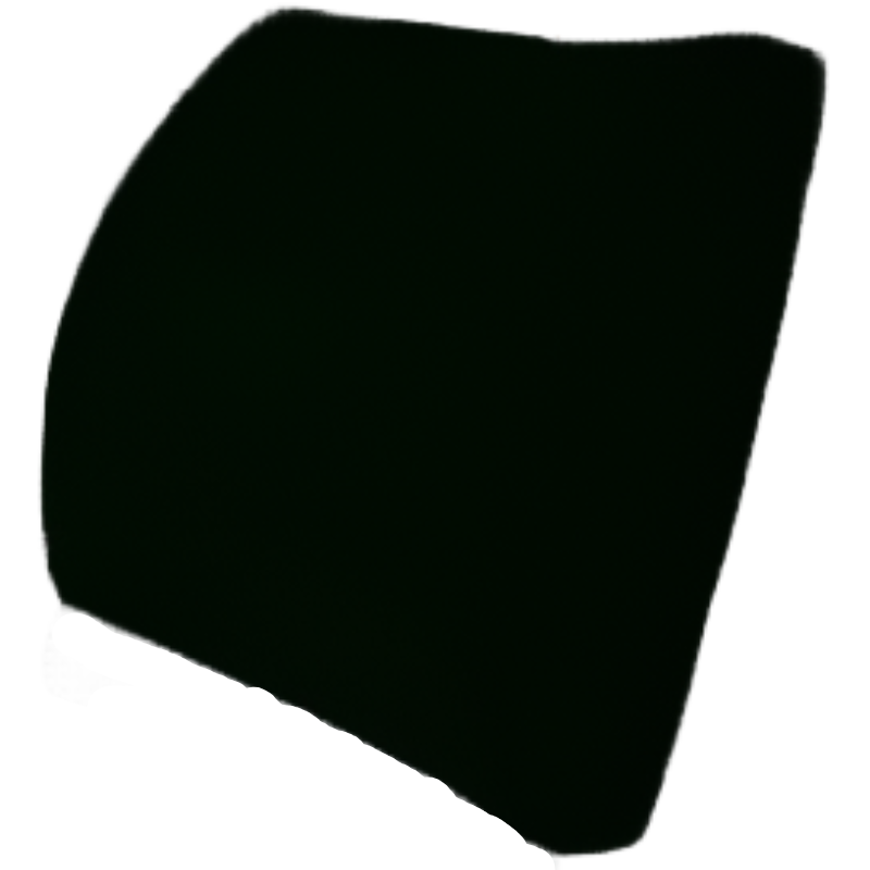 Lumbar Support Cushion Orthotics Braces & Sleeves