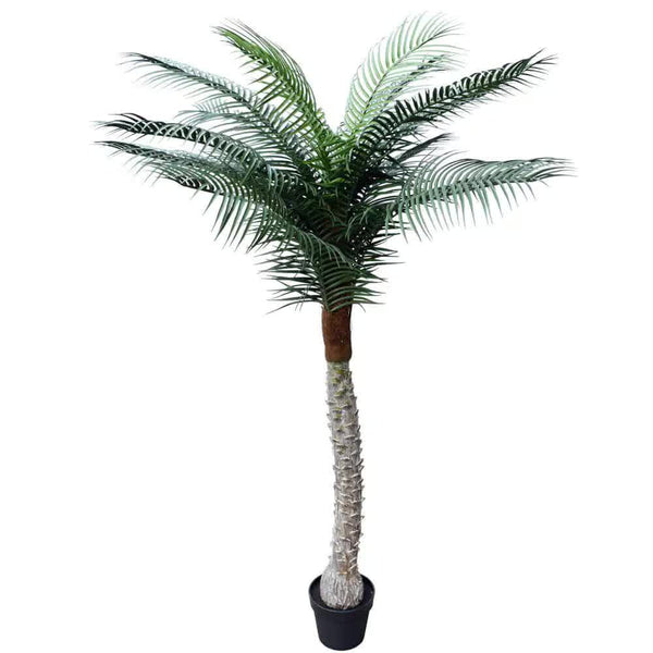 Phoenix Artificial Potted Palm Tree 190Cm Uv Resistant Artificial Plants