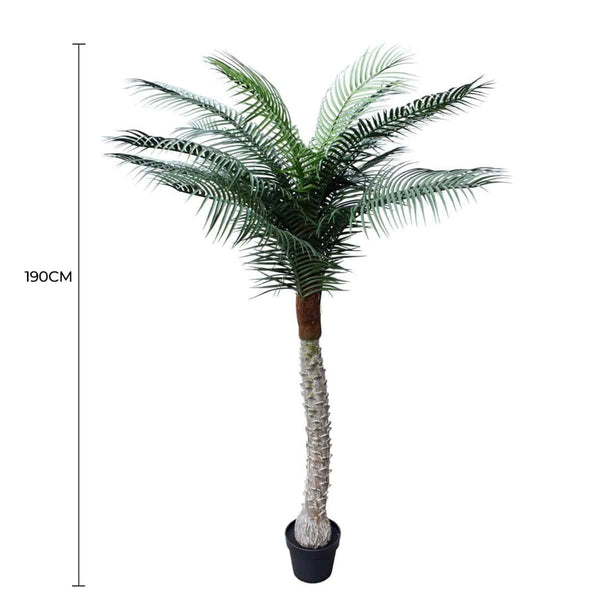 Phoenix Artificial Potted Palm Tree 190Cm Uv Resistant Artificial Plants