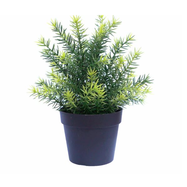 Uv Treated 20Cm Artificial Potted Plants Bundle Of 4 Artificial Plants