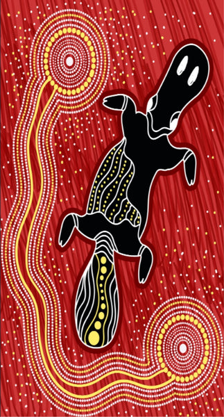 Bstc Head Socks Hats & Headwear